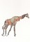 BFC1186 Decorative Element Series-Filled Giraffes