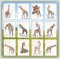 BFC1186 Decorative Element Series-Filled Giraffes