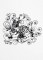 BFC1192 Decorative Elements Series Blackwork Zebras