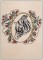 BFC1193 Decorative Elements Series Filled Zebras