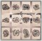 BFC1193 Decorative Elements Series Filled Zebras