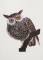 BFC1196 Outlandish Owls