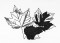 BFC1200 Autumn Blackwork Designs