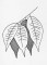 BFC1200 Autumn Blackwork Designs