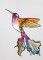 BFC1202 Ching Chou's Hummingbird