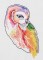 BFC1204 Ching Chou's Barn Owl