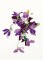 BFC1205 Large Watercolor Bouquet