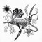 BFC1217 Decorative Elements Series Blackwork Birds