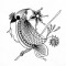 BFC1217 Decorative Elements Series Blackwork Birds