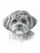 RMG1219  Tootsie