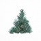 BFC1220 Large Christmas Tree 2012