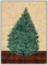 BFC1220 Large Christmas Tree 2012