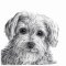 RMG1221  Leonard