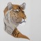 BFC1225 Tigers in Asian Art