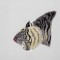 BFC1225 Tigers in Asian Art