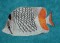 BFC1229 Tropical Fish