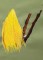 BFC1235 Large Greater Bird of Paradise