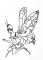 BFC1242 Blackwork Fairies