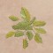 BFC1248 Landscape Elements - Foliage