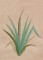 BFC1248 Landscape Elements - Foliage