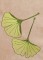 BFC1248 Landscape Elements - Foliage
