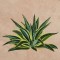 BFC1248 Landscape Elements - Foliage