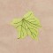 BFC1248 Landscape Elements - Foliage