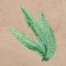BFC1248 Landscape Elements - Foliage
