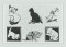 BFC1249 Blackwork Cats and Kittens