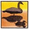BFC1255 Bird Silhouettes