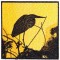 BFC1255 Bird Silhouettes
