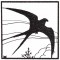 BFC1255 Bird Silhouettes