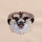 BFC1258 Meercats