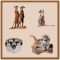 BFC1258 Meercats