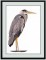 BFC1260 Three Herons