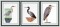 BFC1260 Three Herons