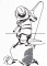 BFC1264 Blackwork - Goin' Fishing