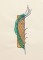 BFC1267 Sophisticated Feathers Handbag & Designs