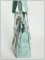 BFC1267 Sophisticated Feathers Handbag & Designs