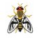 RMG127 FLY