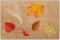 BFC1289 Autumn Handbag