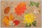 BFC1289 Autumn Handbag