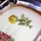 BFC1626 2016 13th Anniversary Flowers