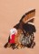 BFC1300 Large Wild Turkey