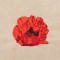 BFC1307 Lush Poppies Handbag