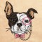 BFC1315 Hipster Canines Filled