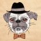 BFC1315 Hipster Canines Filled