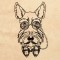 BFC1316 Hipster Canines Blackwork