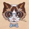 BFC1318 Hipster Felines Filled