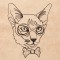 BFC1319 Hipster Felines Blackwork